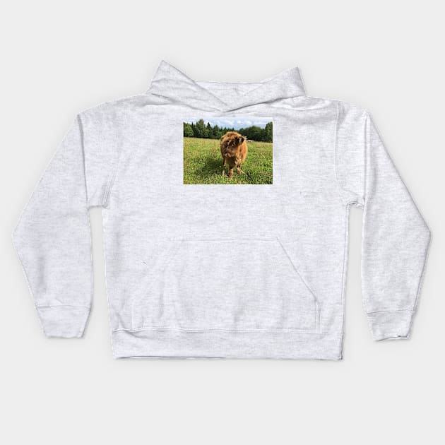 Scottish Highland Cattle Calf 1452 Kids Hoodie by SaarelaHighland